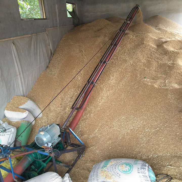 抽粮机现场